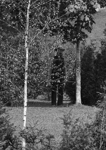 play Interactive Camping Horror Story (Prequel)