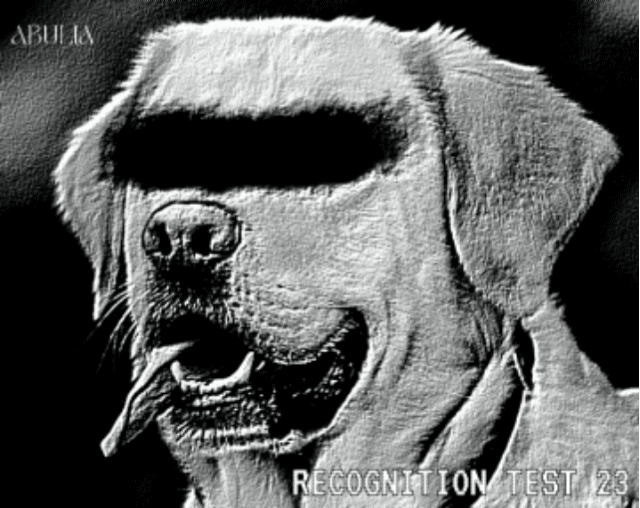 play Recognition Test 23