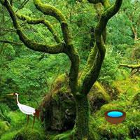 play Wow-Enchanted Mossy Green Forest Escape Html5