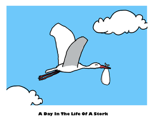 play A Day In The Life Of A Stork