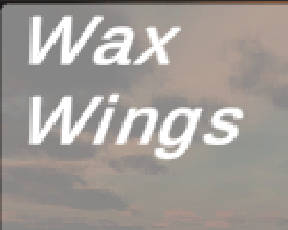 play Wax Wings