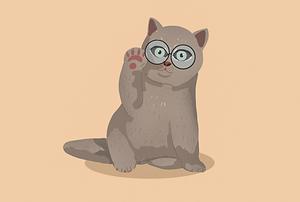 play Stray Cat Game
