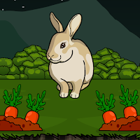 play G2J Rescue The Grey Rabbit
