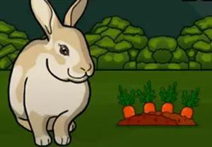 play Rescue The Grey Rabbit