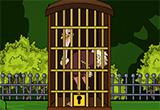 play Room Escape Masai Ostrich Escape