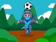 play Ninja Head Ball