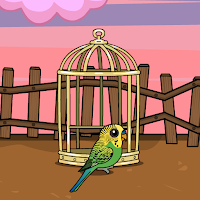play G2J Rescue The Budgerigar From Cage