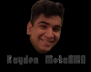 play Kayden Motabird