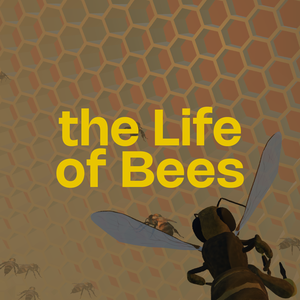 The Life Of Bees