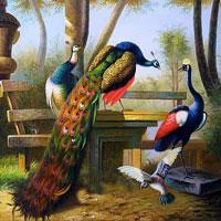 play Gorgeous Peacock Land Escape Html5