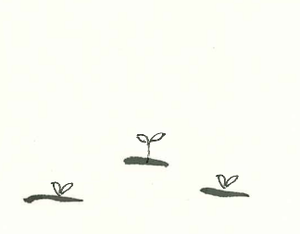 play Garden Test