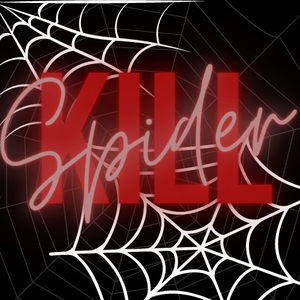 play Kill Spider