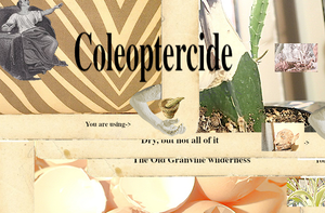 play Coleoptercide