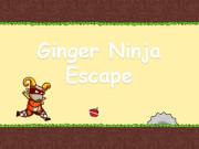 play Ginger Ninja Escape