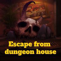 play Escape From Dungeon House