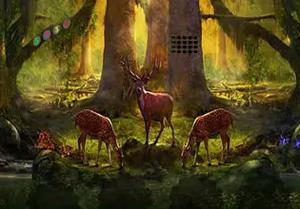 play Magical Deer Forest Escape