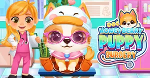 play Doc Honeyberry Puppy Surgery