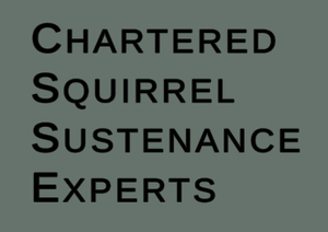 play Chartered Squirrel Sustenance Experts