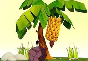 play Banana Wallpaper Land Escape