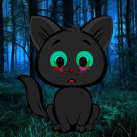 play Big-Strange Night Forest Escape Html5