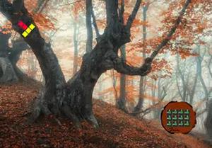 Occult Autumn Forest Escape