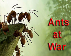 play Ants At War
