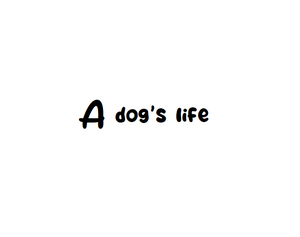 play A Dog'S Life