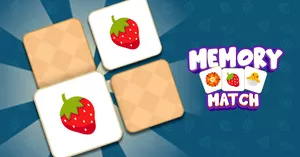 play Memory Match Puzzle