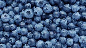 play Blueberry, Blackberry, Coffee, Vines, And Key