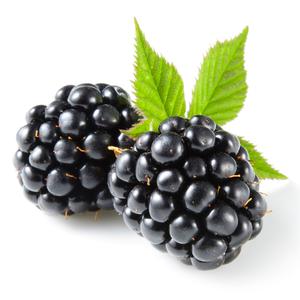 play Blackberry Is Weird Berries