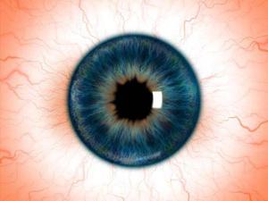 play Roll A Eye| Roll A Ball Project