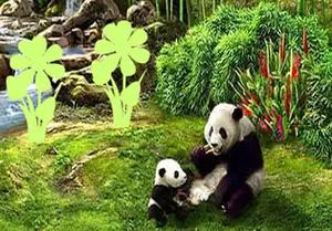 play Dream Panda Land Escape