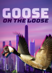 play Goose On The Loose