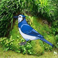 play Wow-Help The Blue Jay Bird Html5