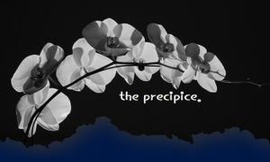 play The Precipice