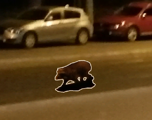 play Prayer For A Raccoon