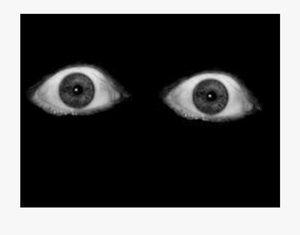play The Watchers