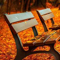 play Autumn Backyard Escape Html5