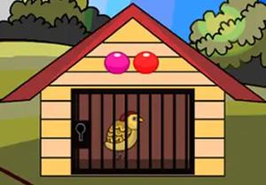 play Pity Chick Rescue