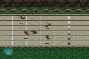 play Cricket Racing