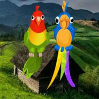 play Big-Pair Macaw Escape Html5