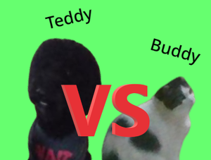 play Buddy Vs Teddy
