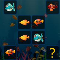 play Fish-Cards-Match