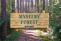 Mystery Forest Escape