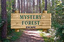 play Mystery Forest Escape