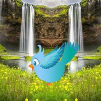 Wow-Rescue The Friends Birds Html5