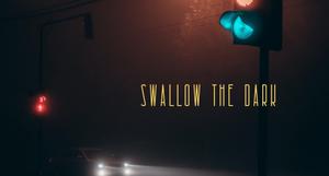 play Swallow The Dark