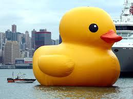 play One Day, An Ostracized Duck...