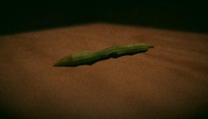 play Blow That Bean Off The Table!