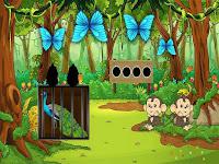 play G2M Captive Plumage Html5